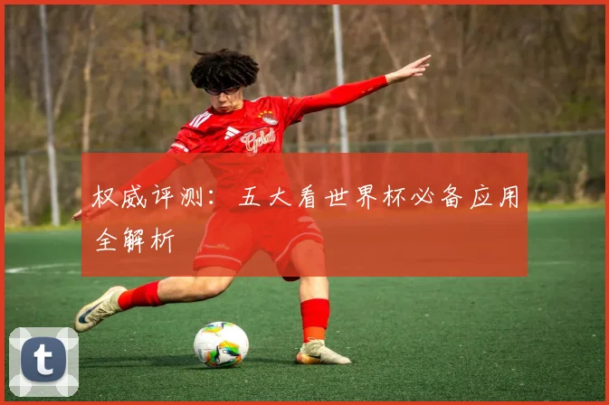 权威评测：五大看世界杯必备应用全解析