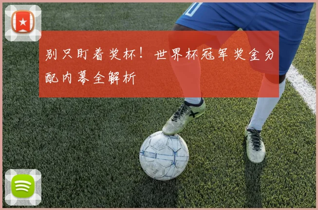 别只盯着奖杯!世界杯冠军奖金分配内幕全解析