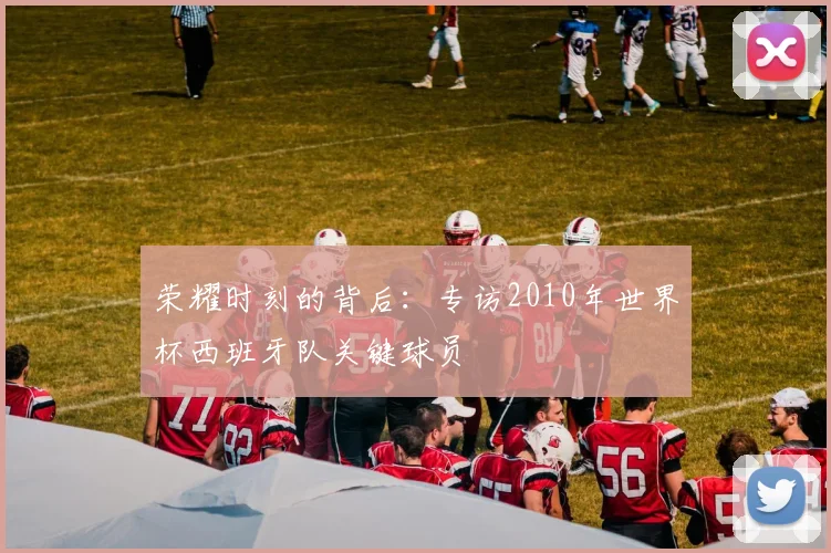 荣耀时刻的背后：专访2010年世界杯西班牙队关键球员