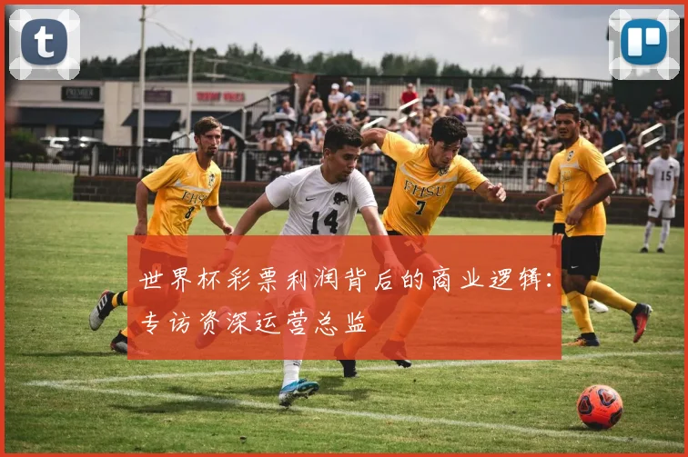 世界杯彩票利润背后的商业逻辑：专访资深运营总监