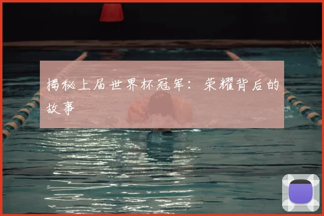 揭秘上届世界杯冠军：荣耀背后的故事