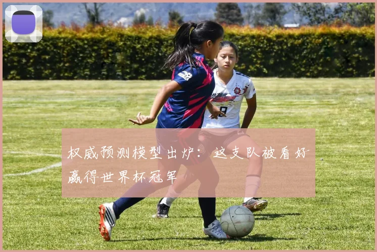 权威预测模型出炉：这支队被看好赢得世界杯冠军