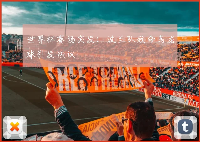 世界杯赛场突发：波兰队致命乌龙球引发热议