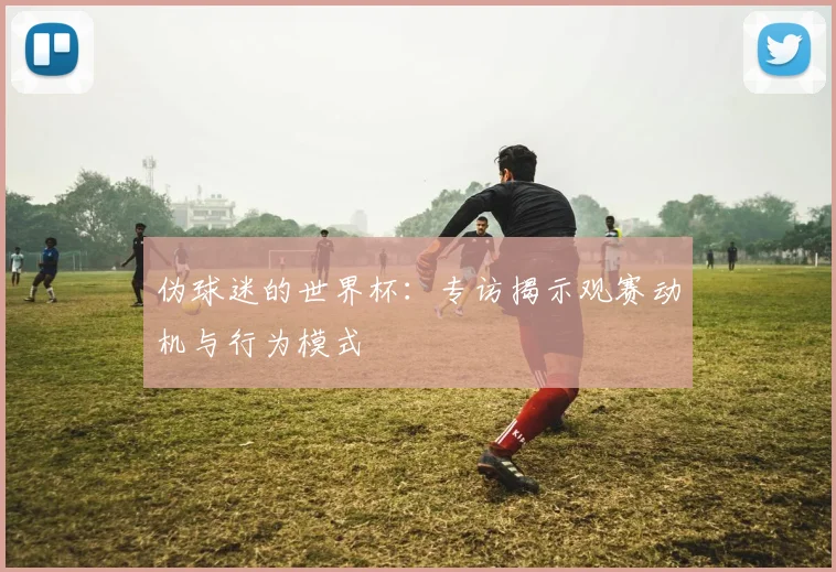 伪球迷的世界杯：专访揭示观赛动机与行为模式