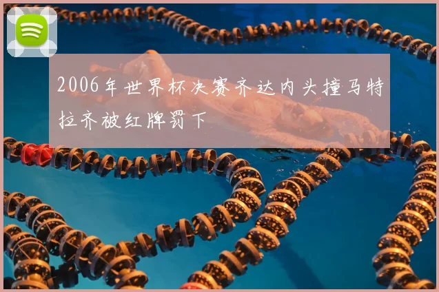 2006年世界杯决赛齐达内头撞马特拉齐被红牌罚下