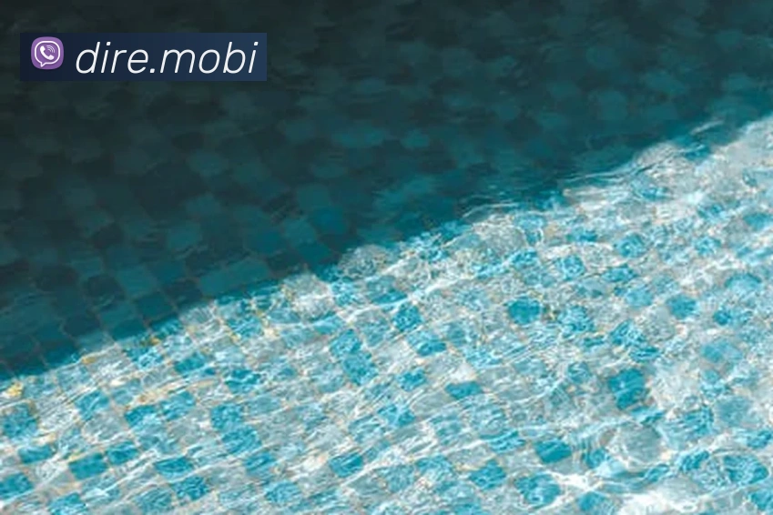 华体在线登录入口平台生态图